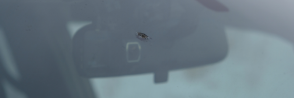 chipped windscreen for repair